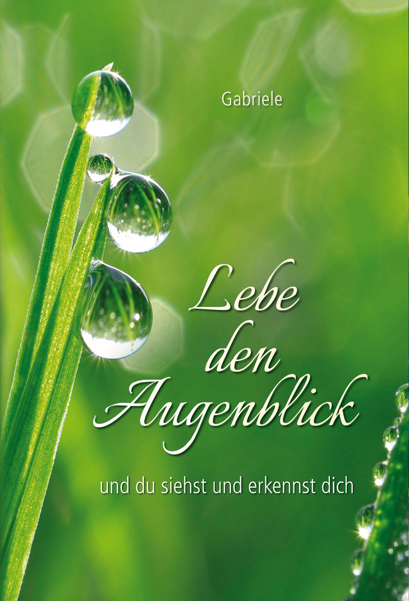 Lebe den Augenblick: und Du siehst und erkennst Dich