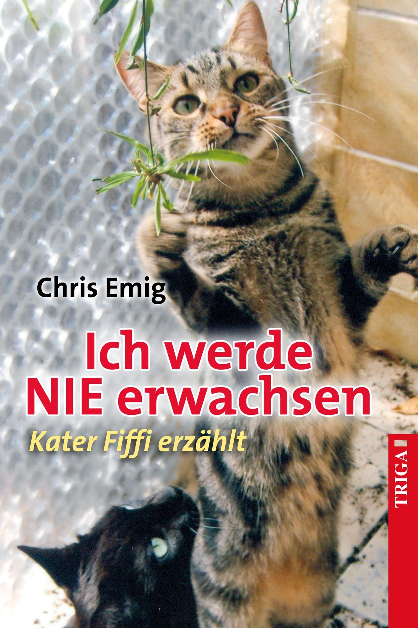 Kater Fiffi ist nicht immer der Klügste, aber immer öfter