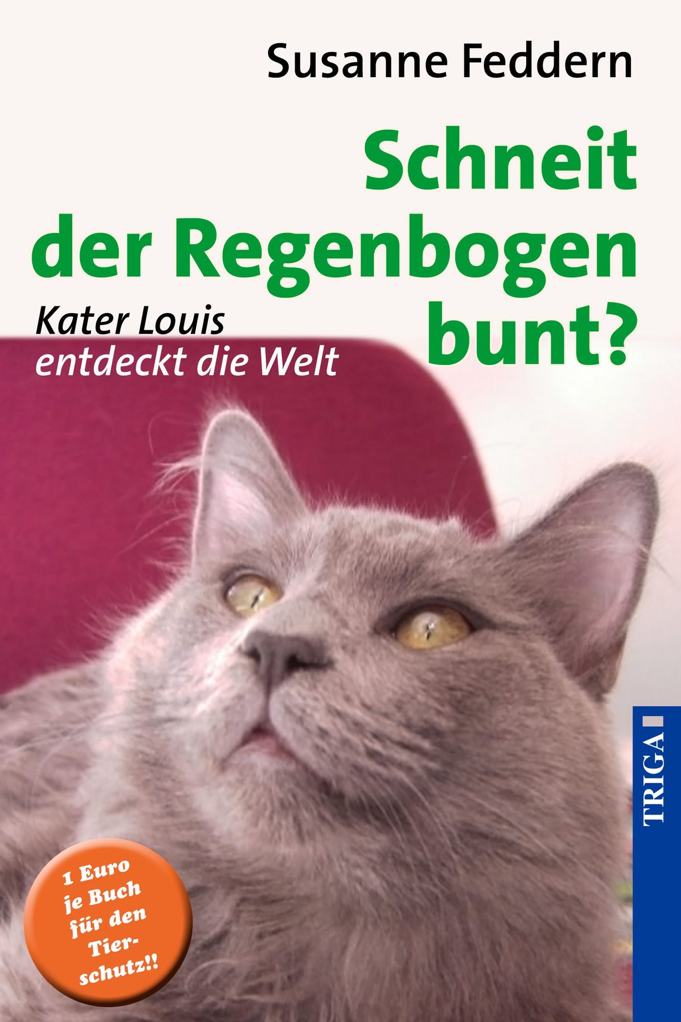 Schneit der Regenbogen bunt?: Kater Louis entdeckt die Welt