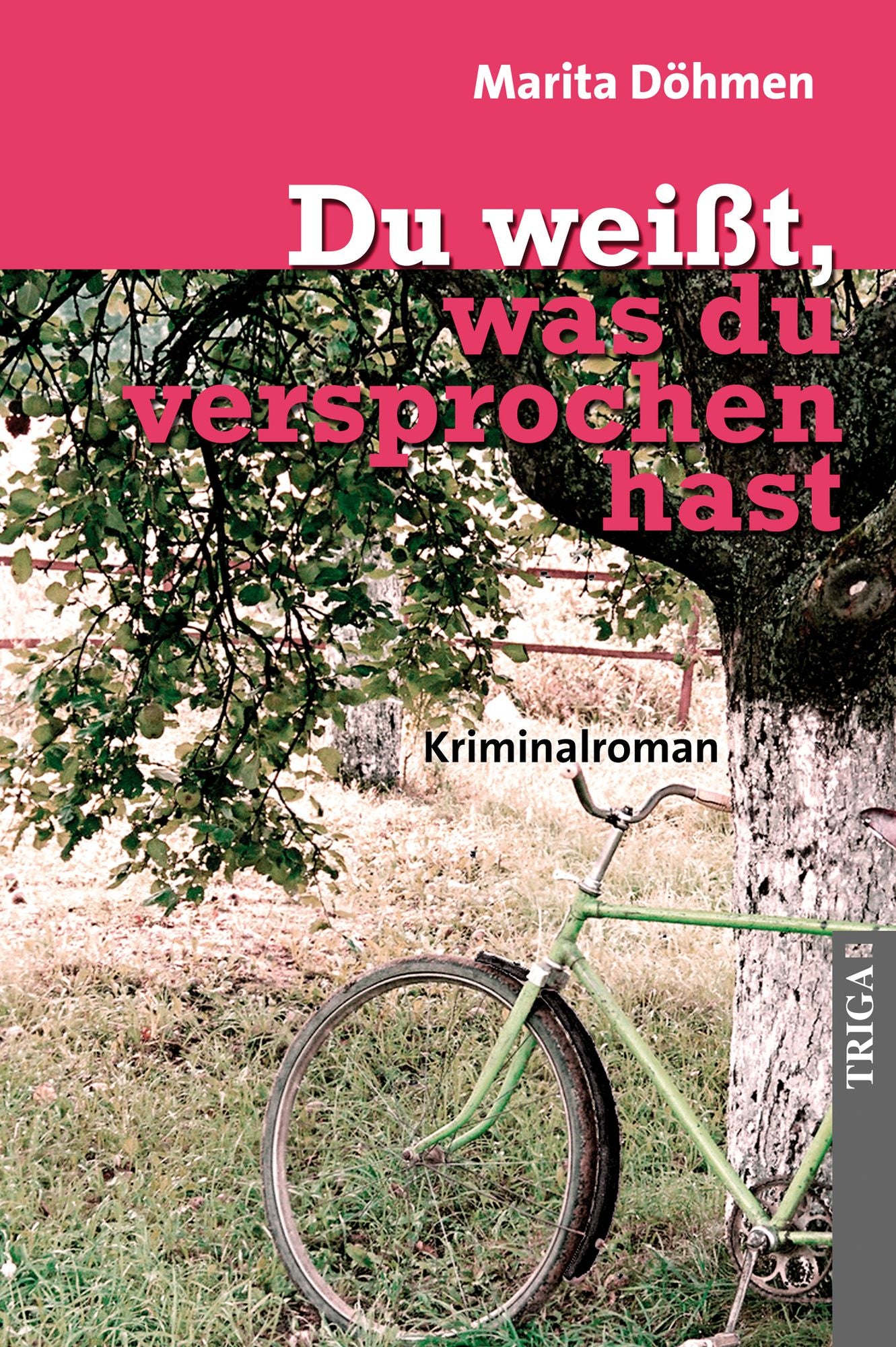 Du weißt, was du versprochen hast: Kriminalroman