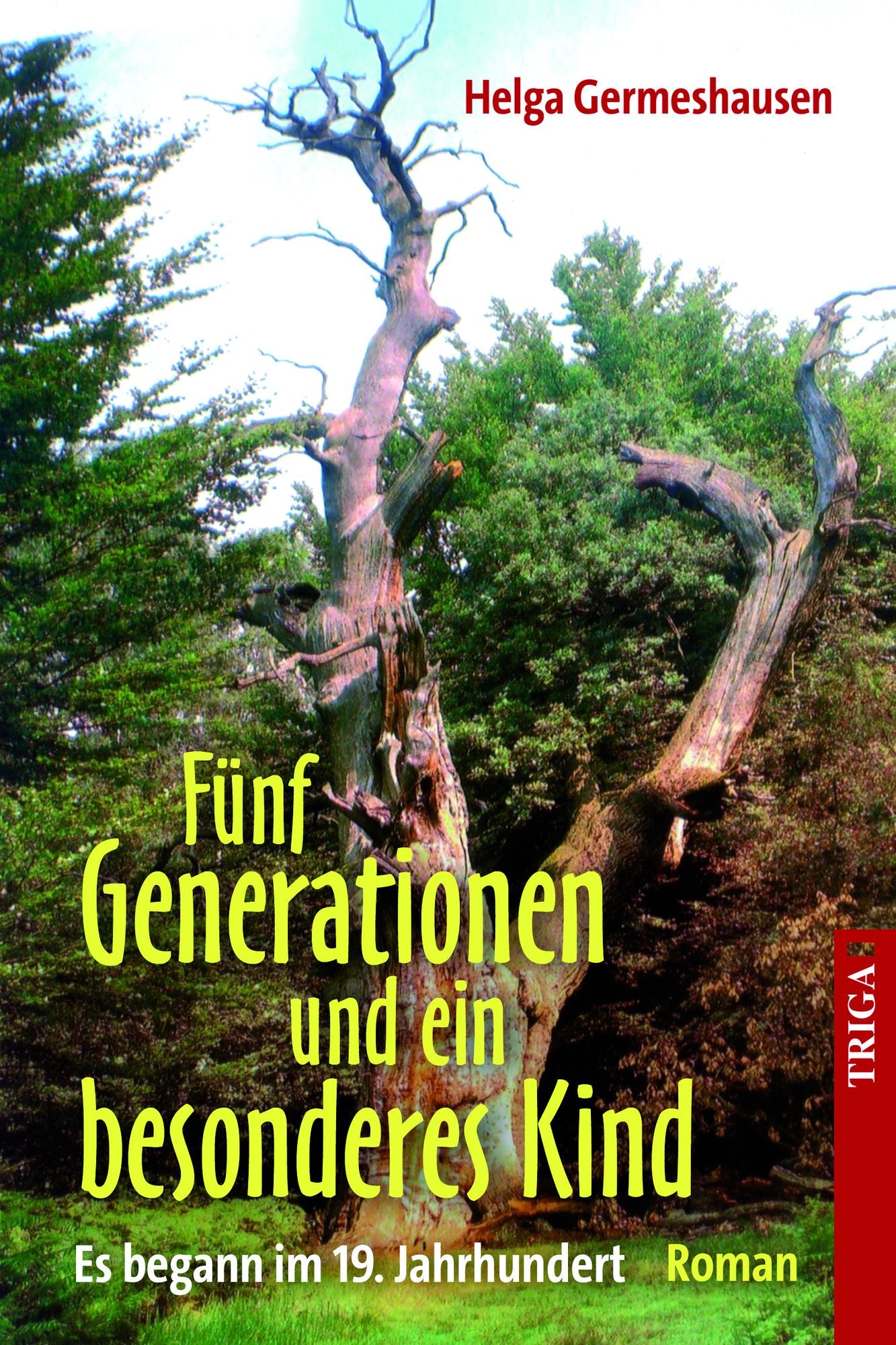 Fünf Generationen und ein besonderes Kind: Es begann im 19. Jahrhundert. Roman