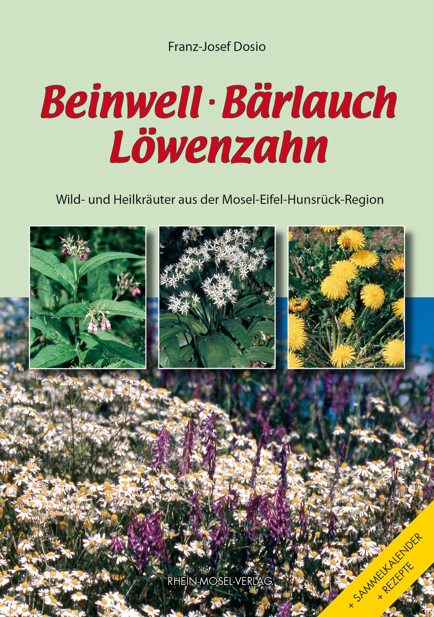 Beinwell, Bärlauch, Löwenzahn: Wild- und Heilkräuter aus der Mosel-Eifel-Hunsrück-Region
