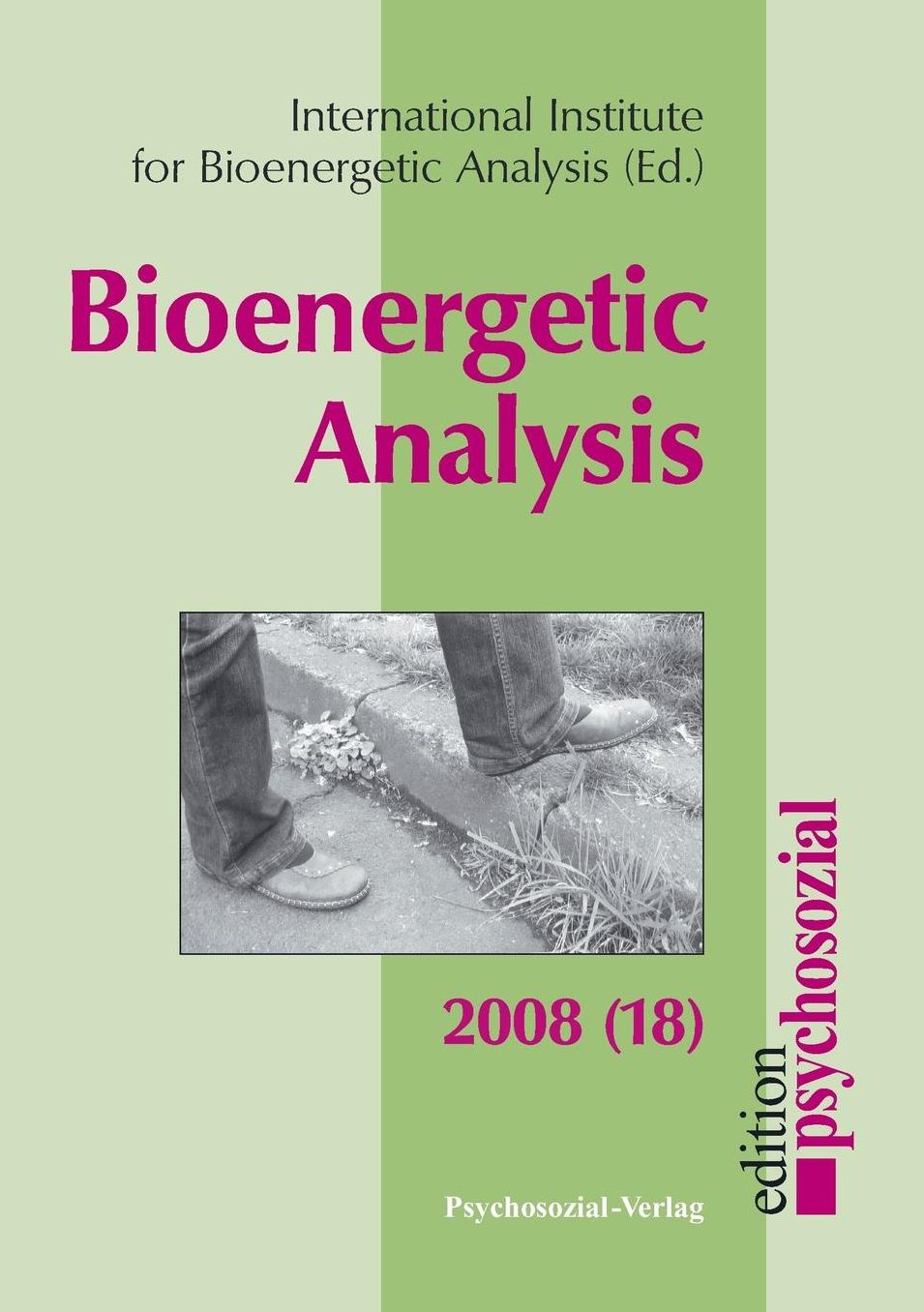 Bioenergetic Analysis 18 (2008)