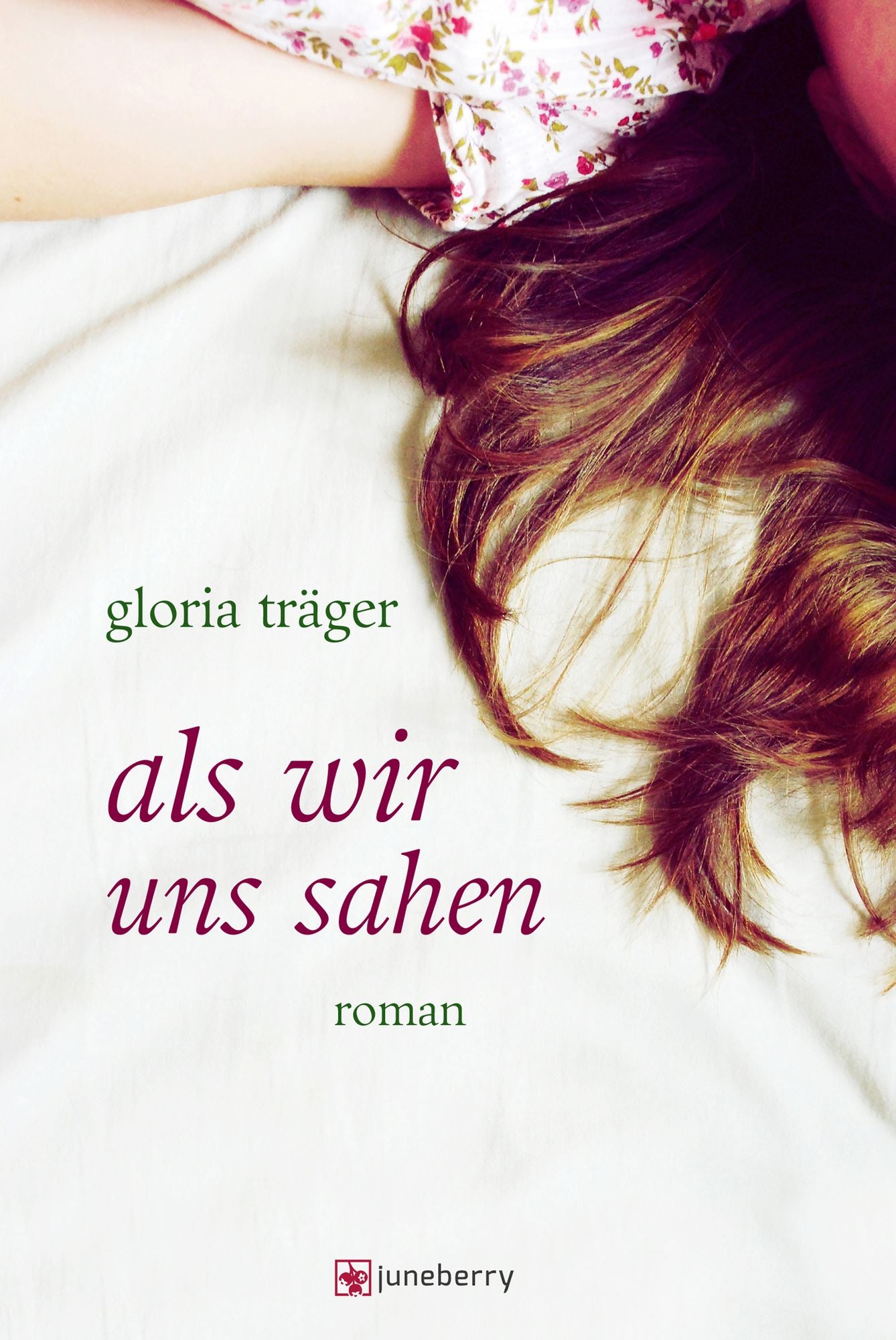 Als wir uns sahen: Roman