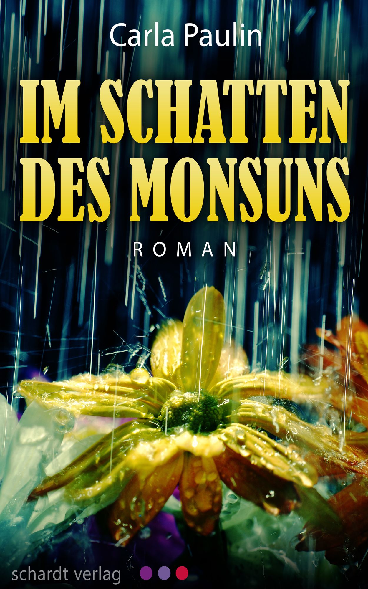 Im Schatten des Monsuns: Roman