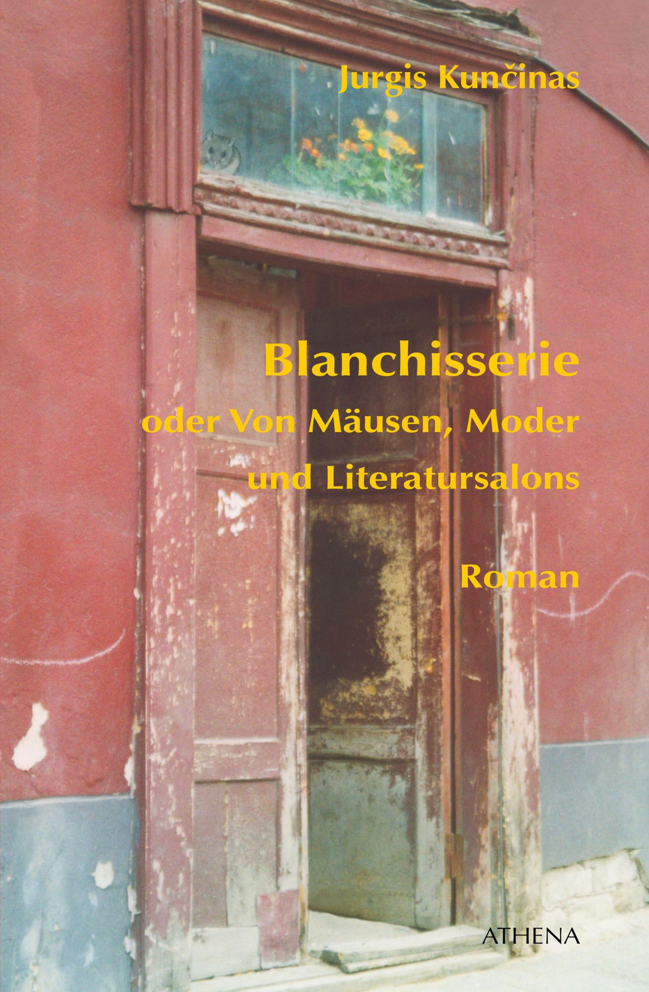 Blanchisserie oder Von Mäusen, Moder und Literatursalons: Roman