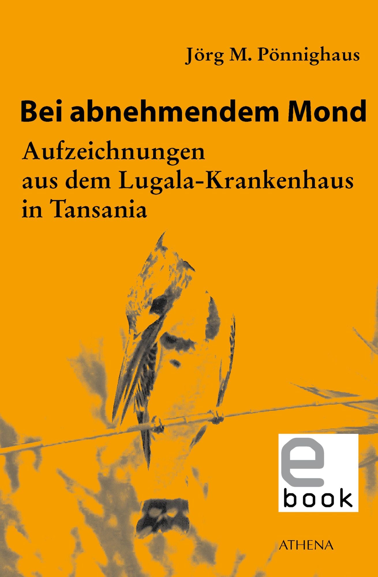 Bei abnehmendem Mond: Aufzeichnungen aus dem Lugala-Krankenhaus in Tansania