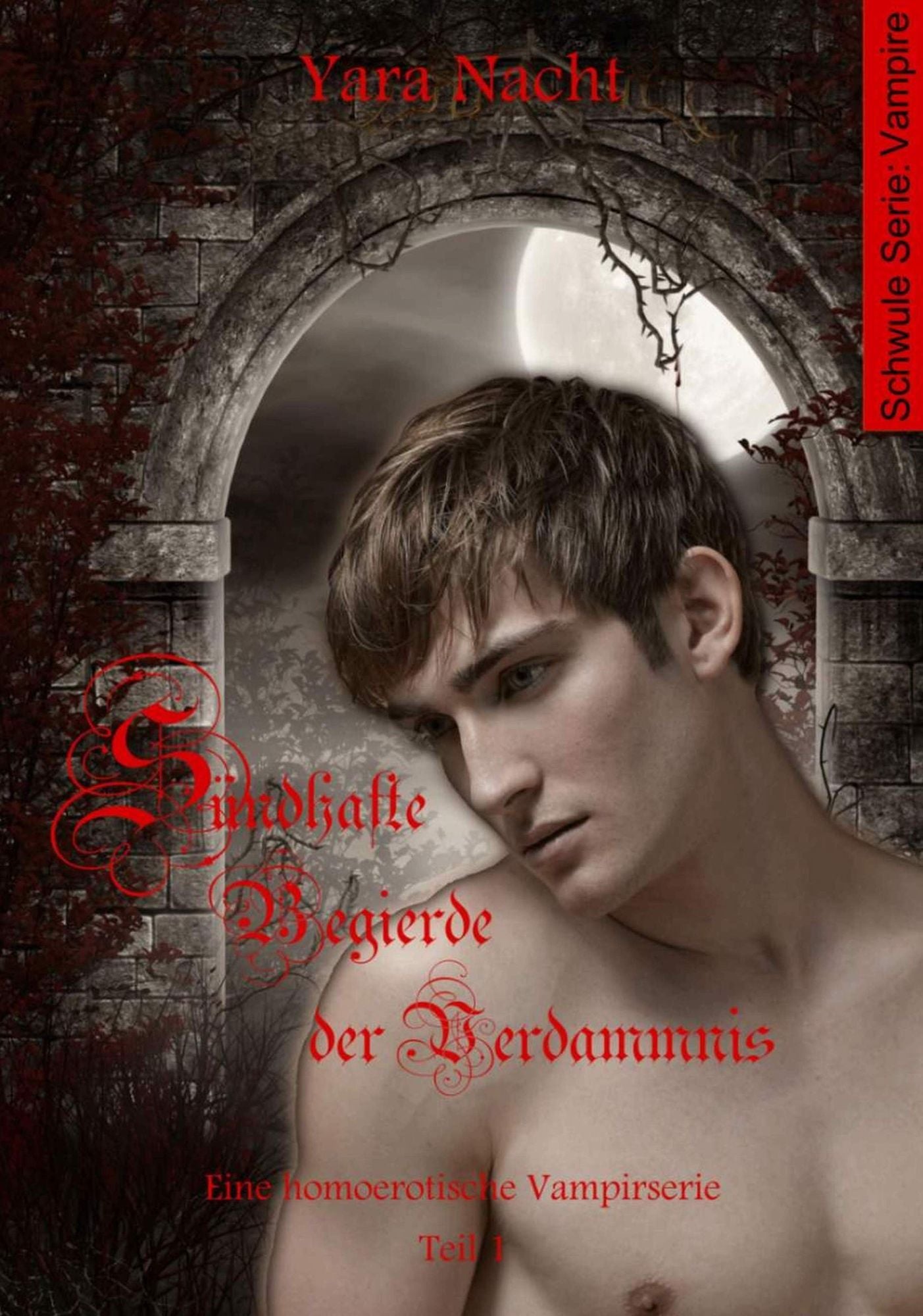 Sündhafte Begierde der Verdammnis I: Eine homoerotische Vampirserie, Teil 1
