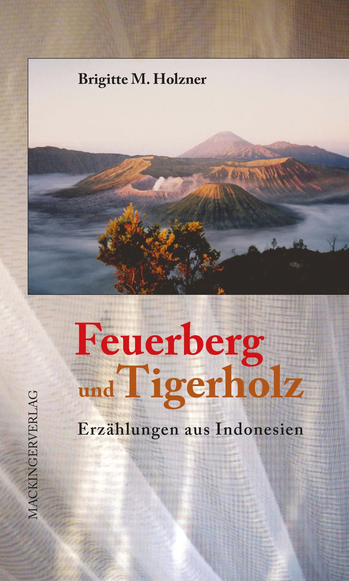 Feuerberg und Tigerholz: Erzählungen aus Indonesien