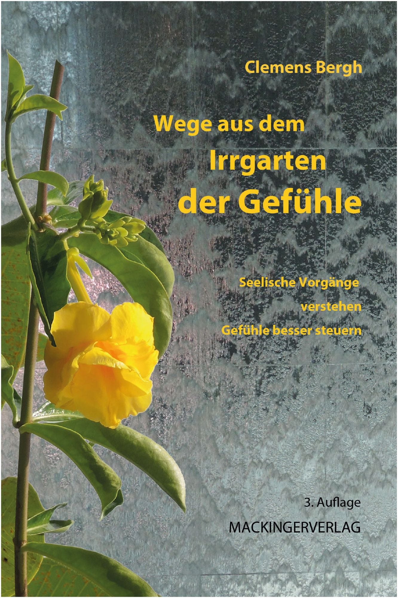 Wege aus dem Irrgarten der Gefühle: Seelische Vorgänge verstehen, Gefühle besser steuern
