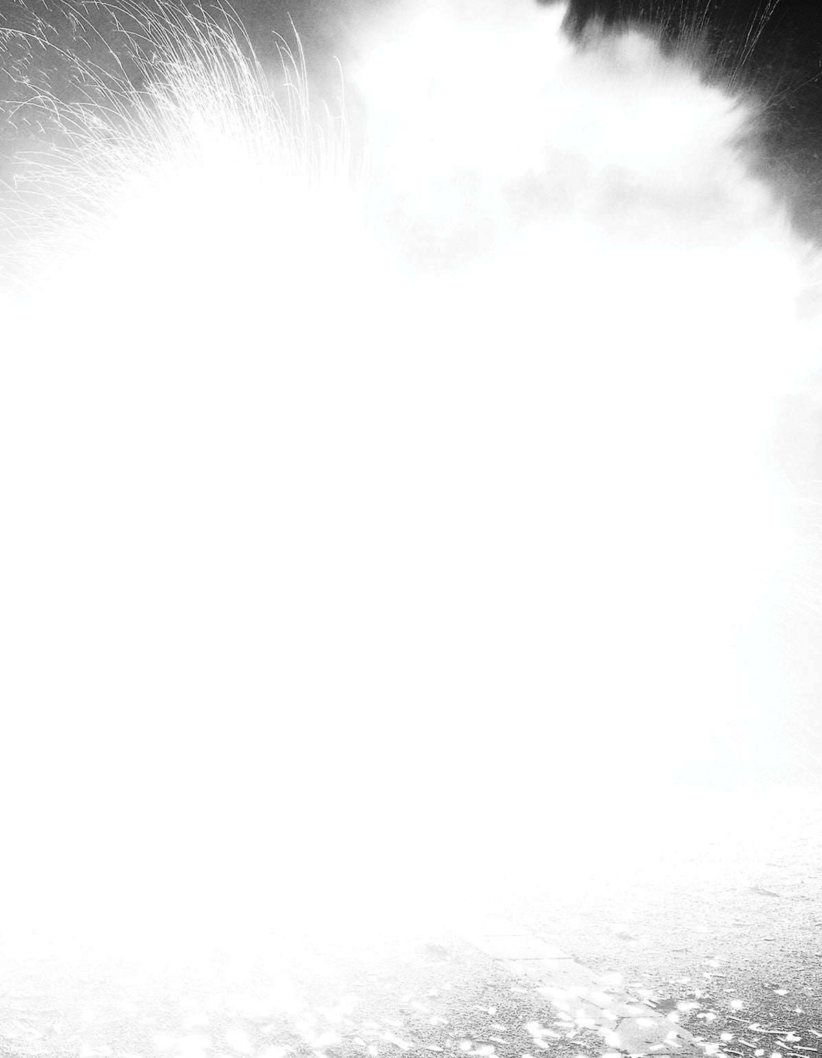 Sandra Kranich: Short Ride in a Fast Machine