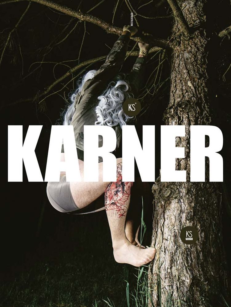 Karl Karner