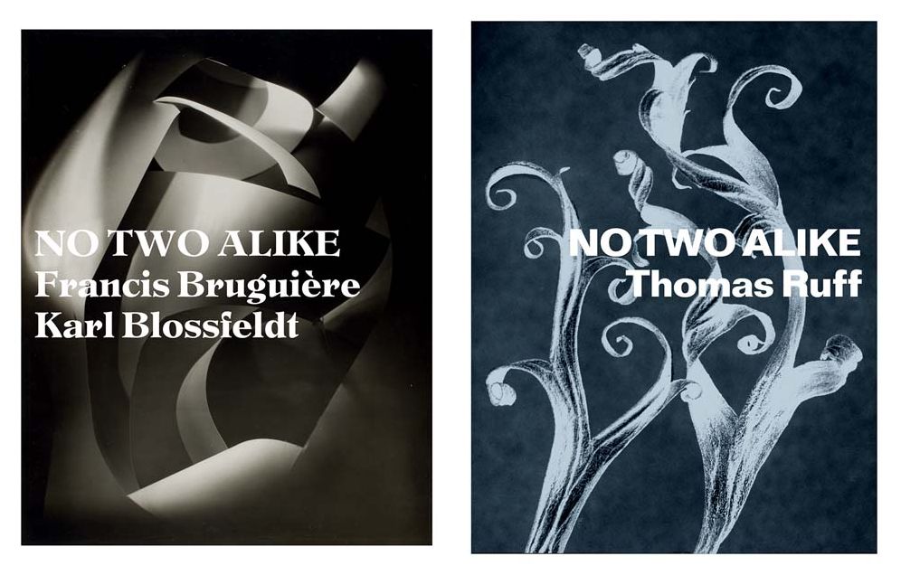 No Two Alike: Karl Blossfeldt, Francis Bruguiï¿½re, Thomas Ruff