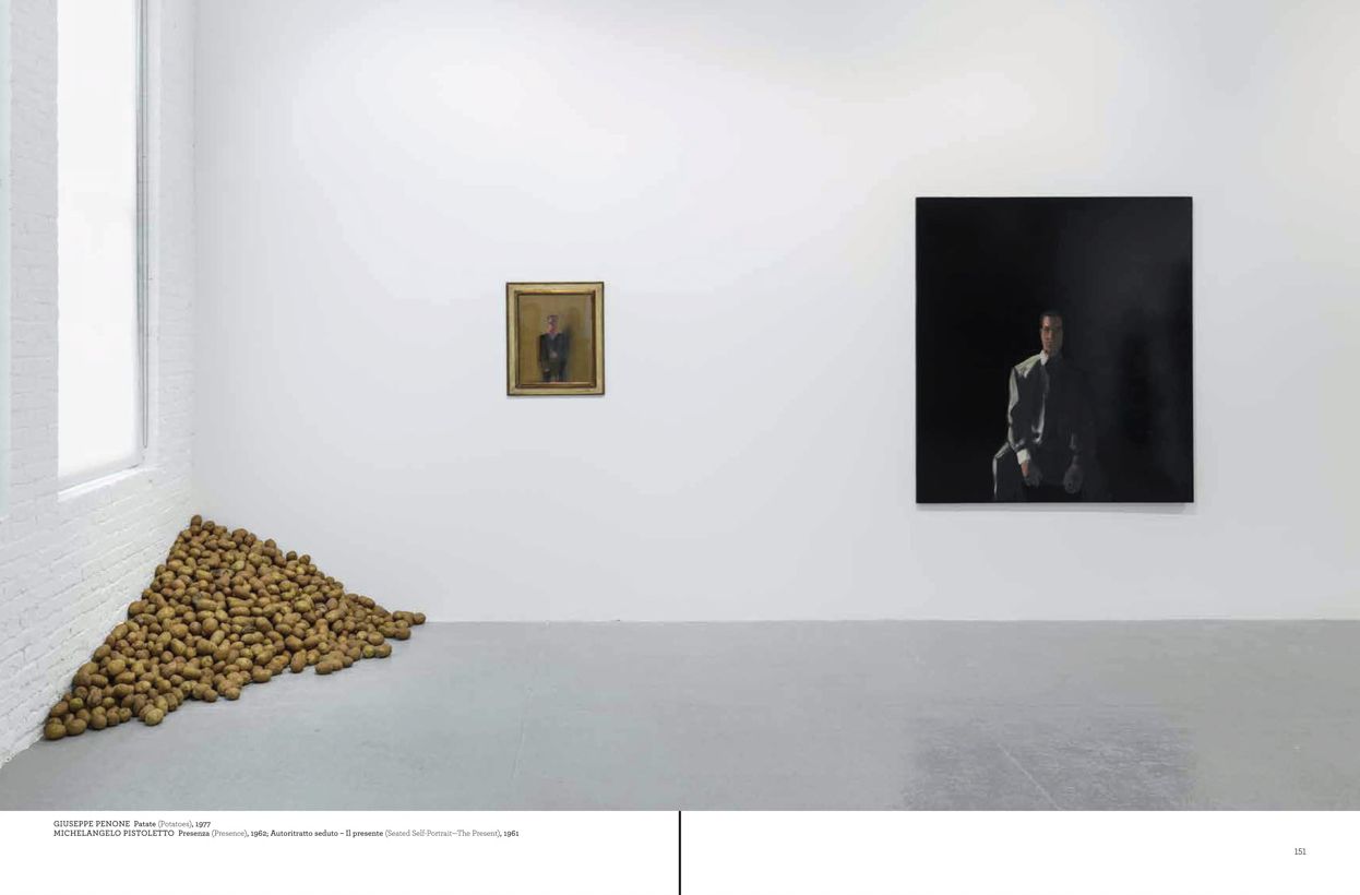 Arte Povera Seen by Ingvild Goetz