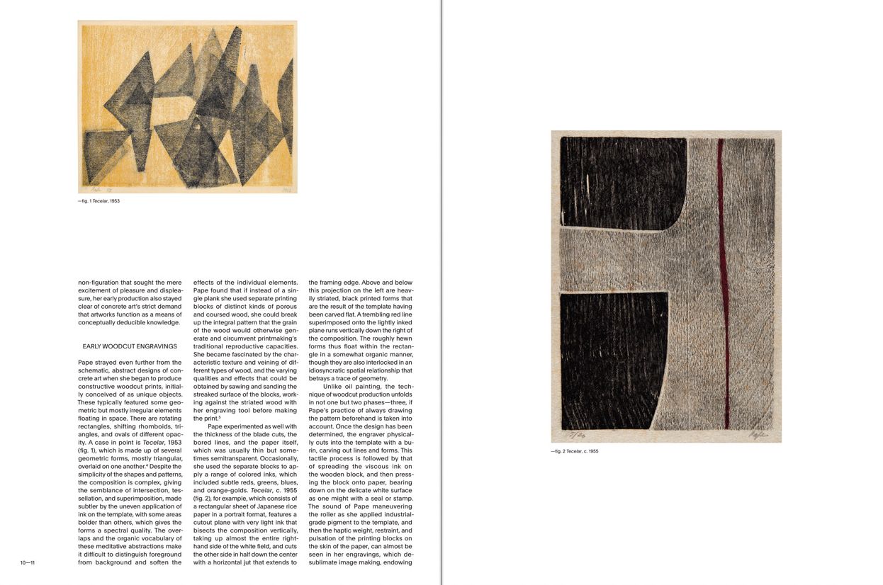 Lygia Pape