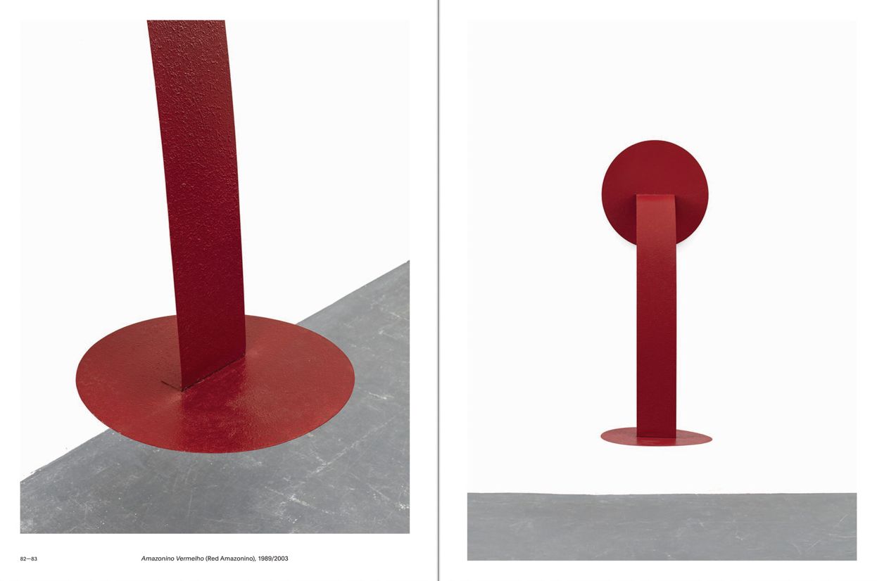 Lygia Pape