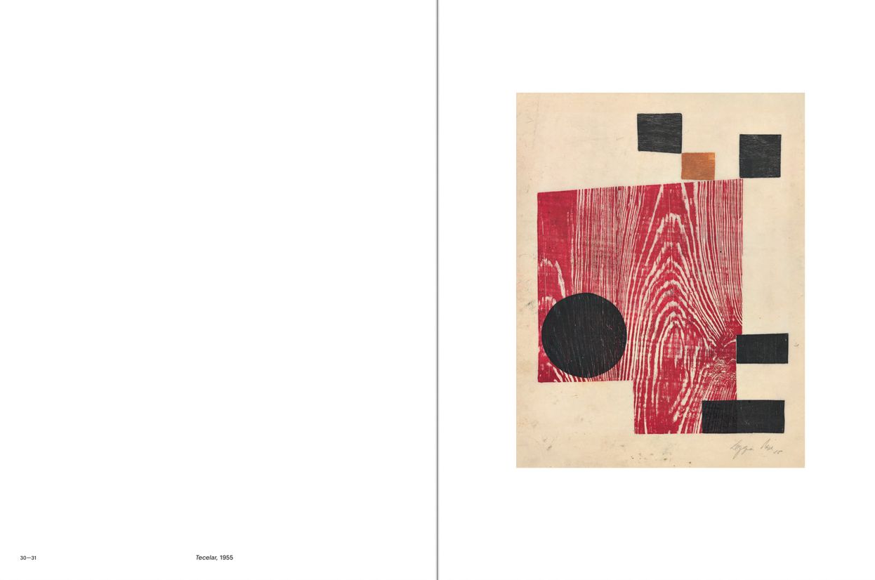 Lygia Pape