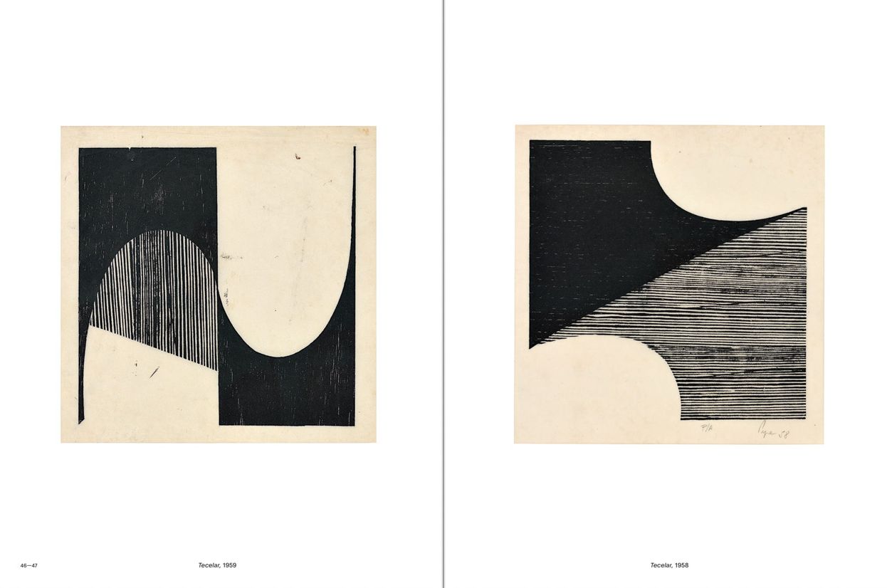 Lygia Pape