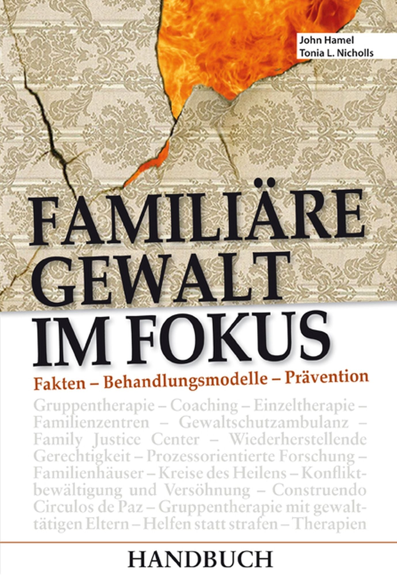 Familiäre Gewalt im Fokus - Handbuch: Fakten - Behandlungsmodelle - Prävention