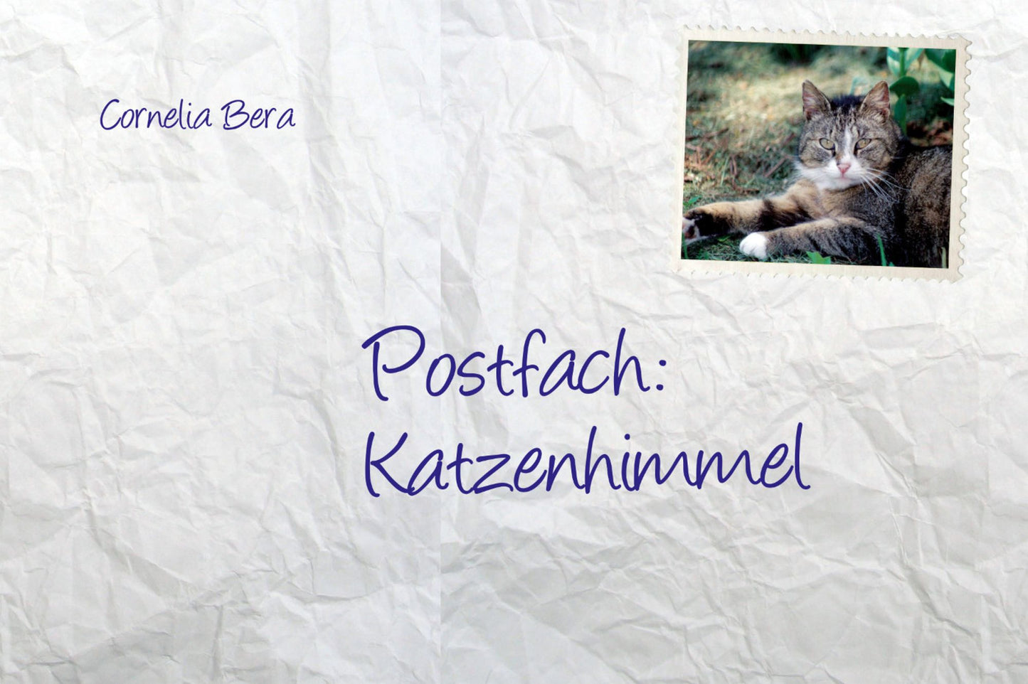 Postfach: Katzenhimmel