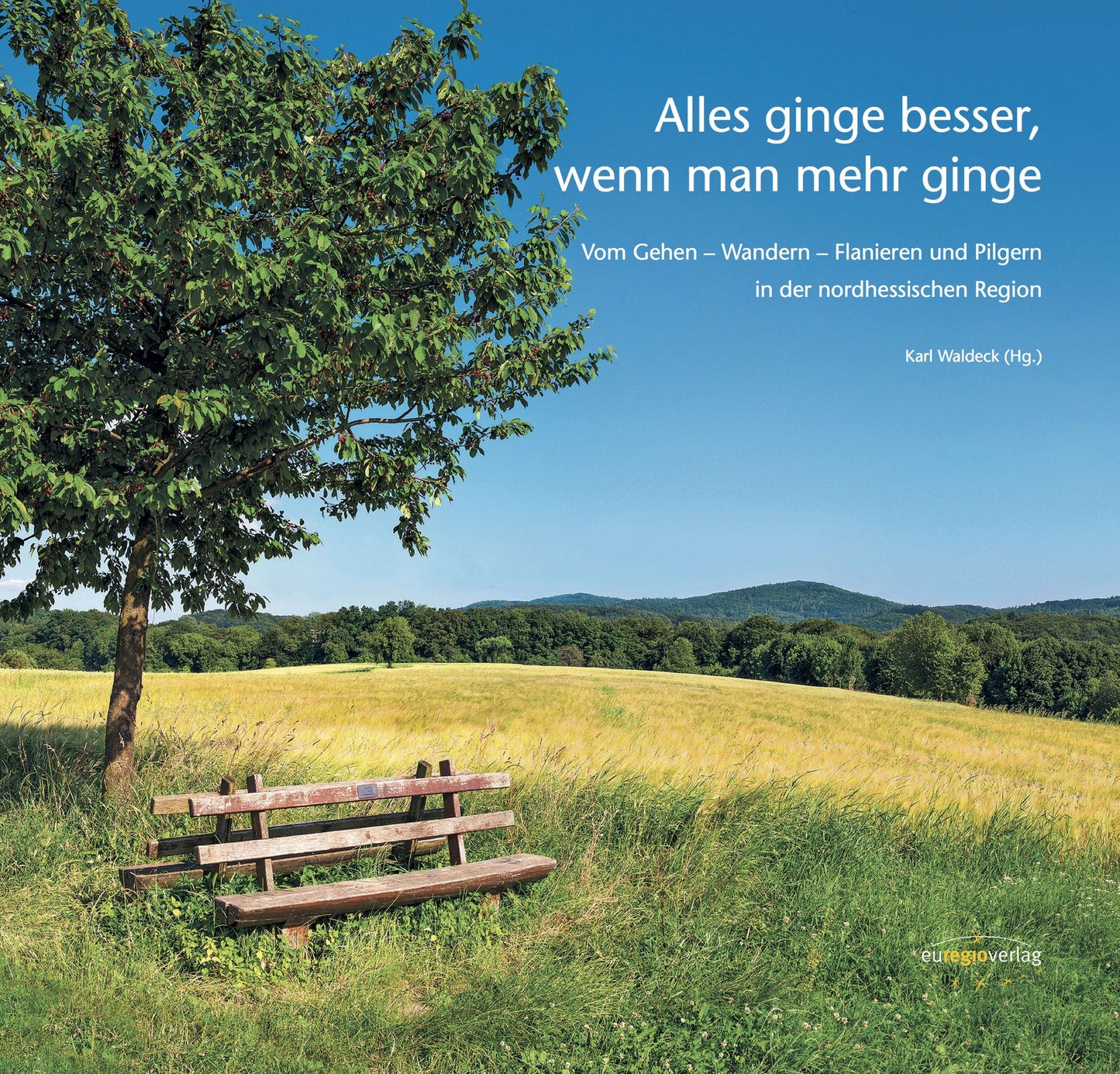 Alles ginge besser, wenn man mehr ginge: Vom Gehen - Wandern - Flanieren und Pilgern in der nordhessischen Region