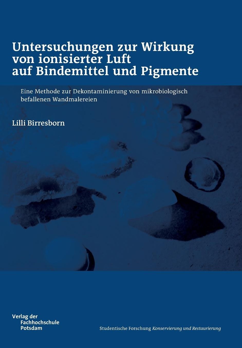Untersuchungen Zur Wirkung Von Ionisierter Luft Auf Bindemittel Und Pigmente