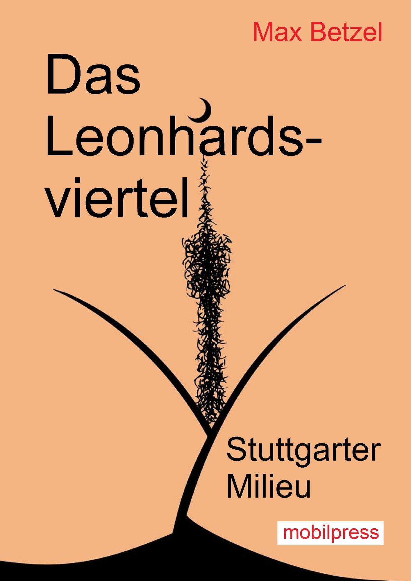 Das Leonhardsviertel: Stuttgarter Milieu