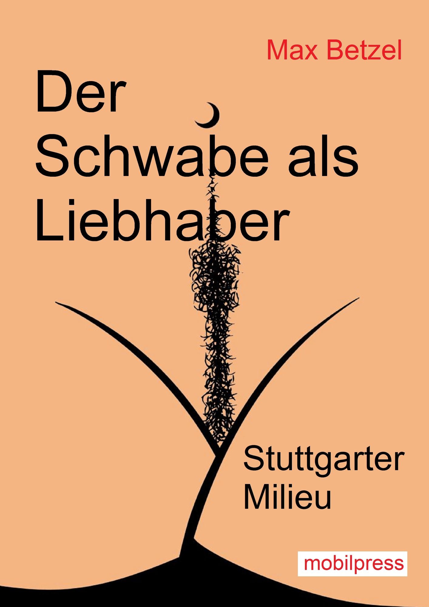 Der Schwabe als Liebhaber: Stuttgarter Milieu