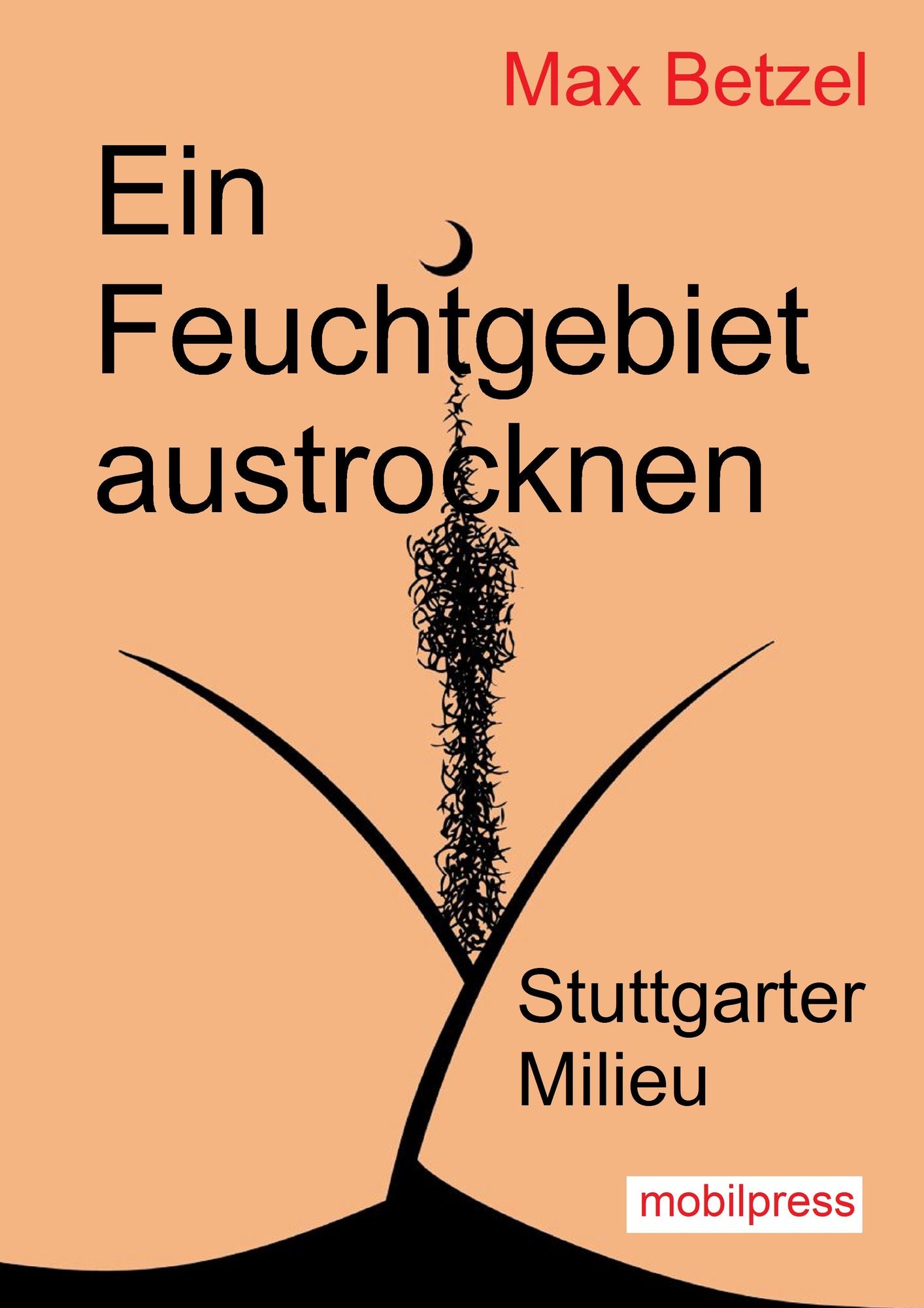 Ein Feuchtgebiet austrocknen: Stuttgarter Milieu