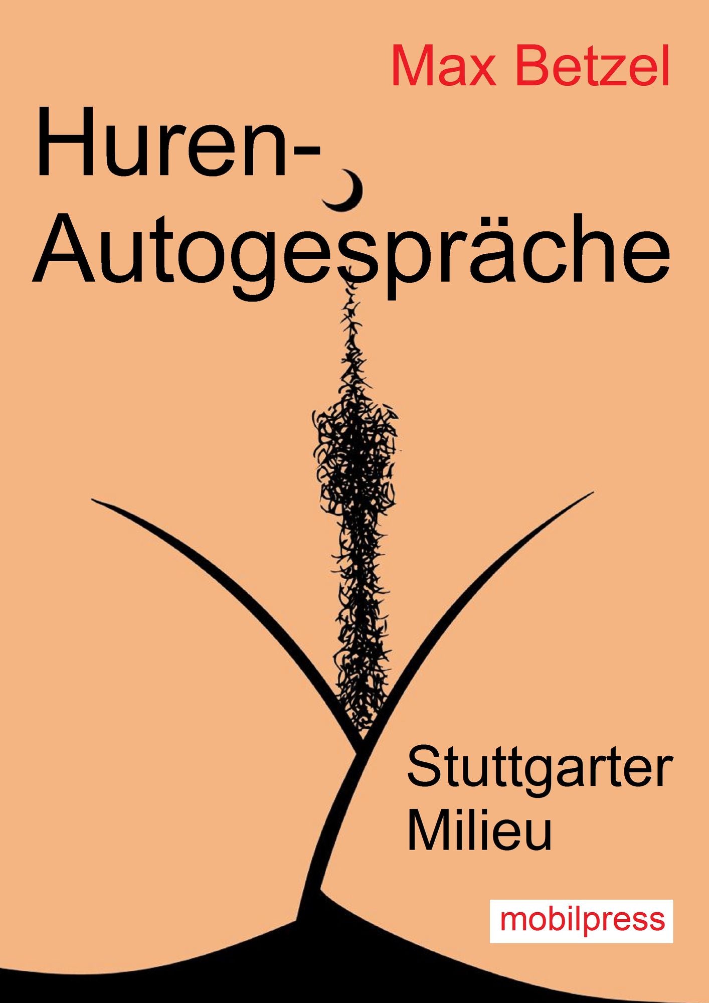 Huren-Autogespräche: Stuttgarter Milieu