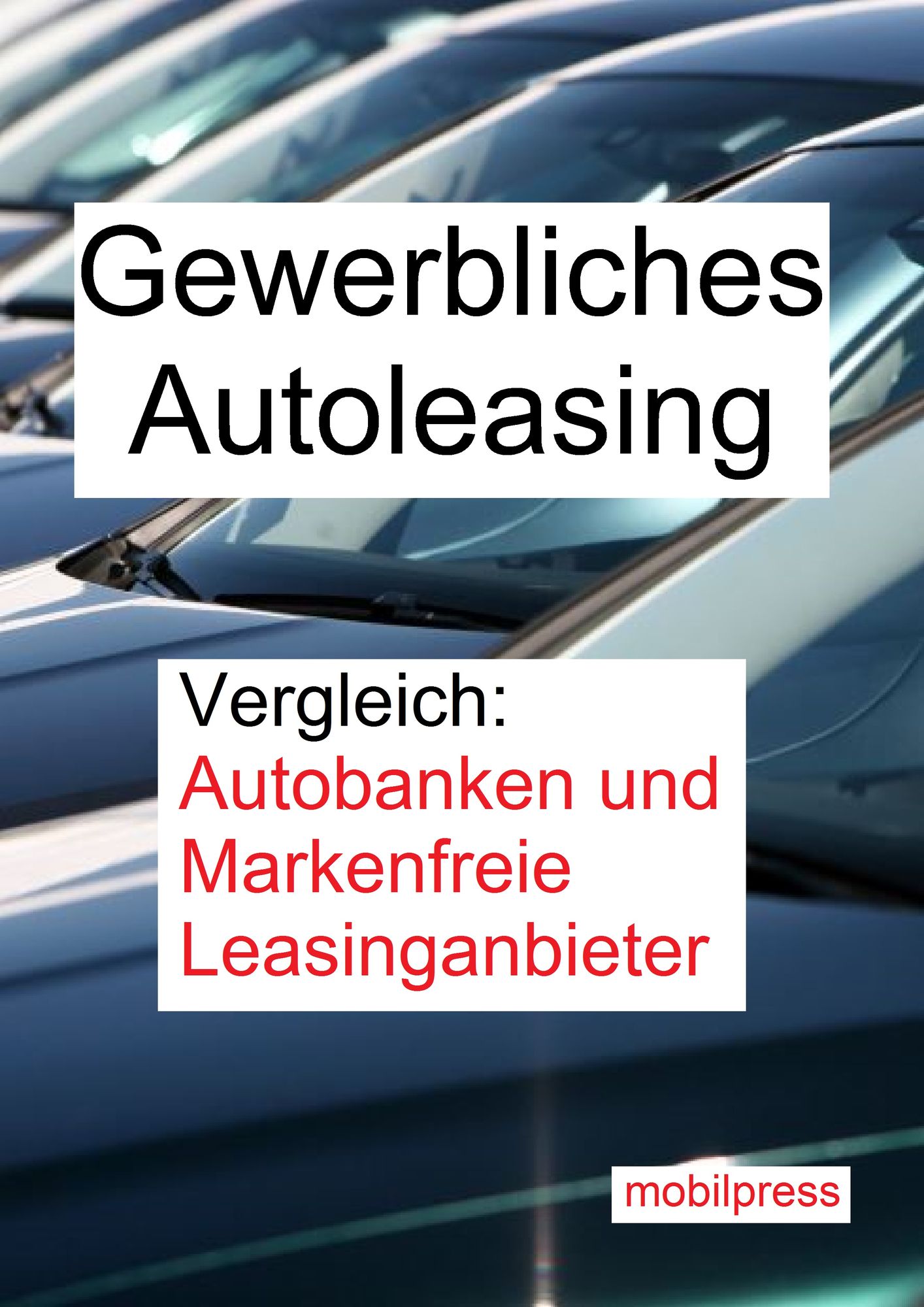 Gewerbliches Autoleasing: Vergleich: Autobanken und Markenfreie Leasinganbieter