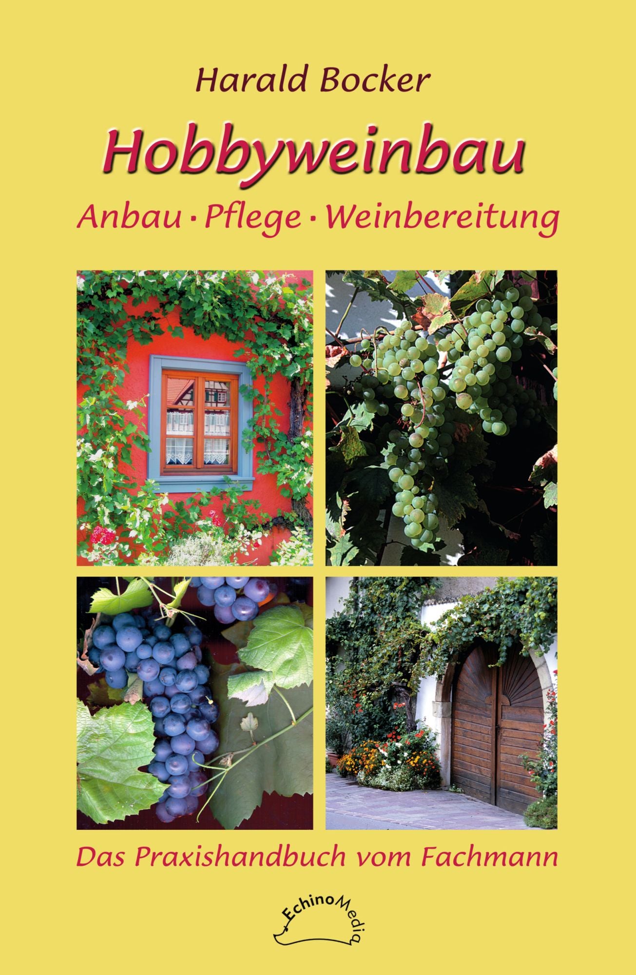 Hobbyweinbau: Anbau, Pflege, Weinbereitung
