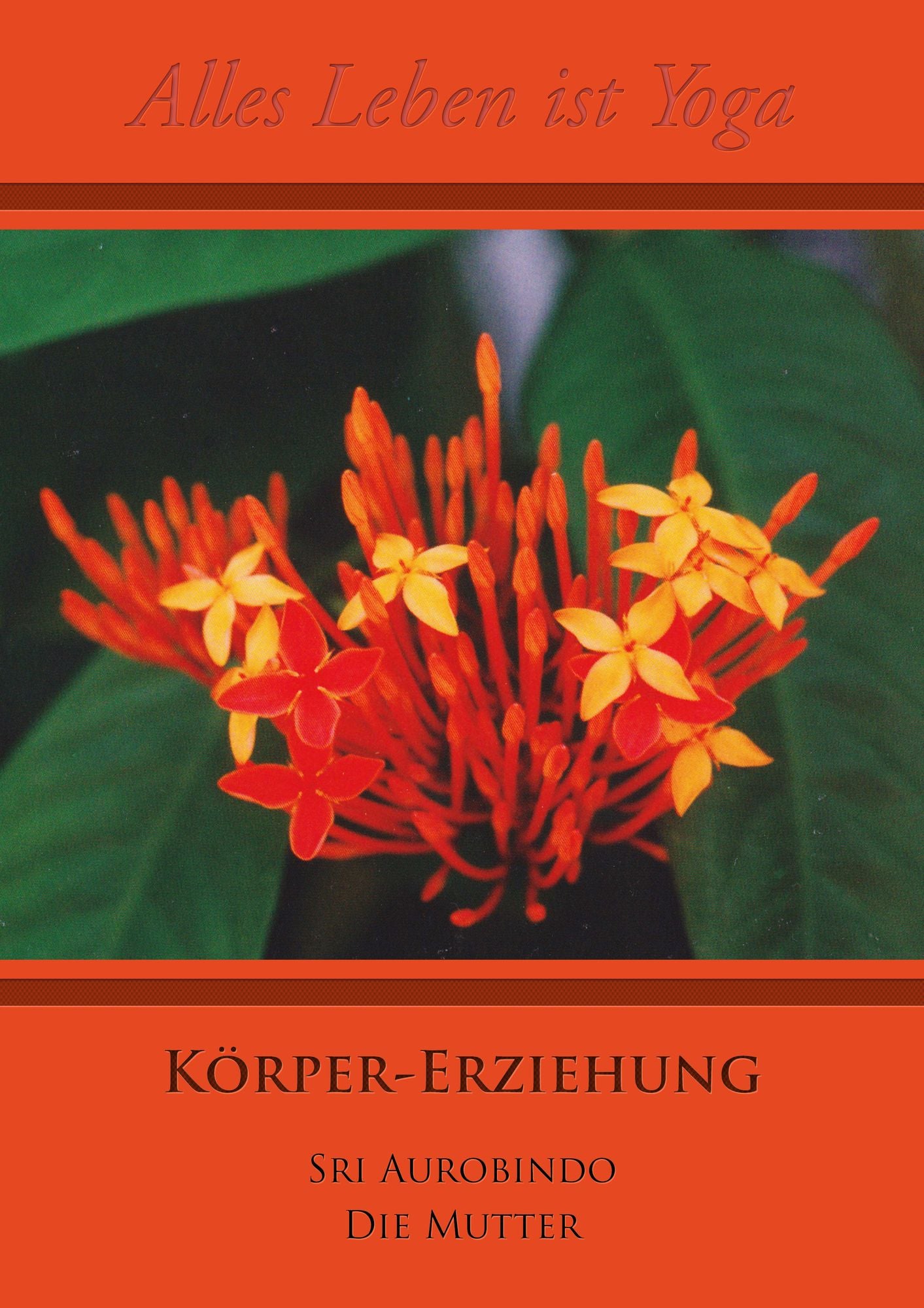 Körper-Erziehung