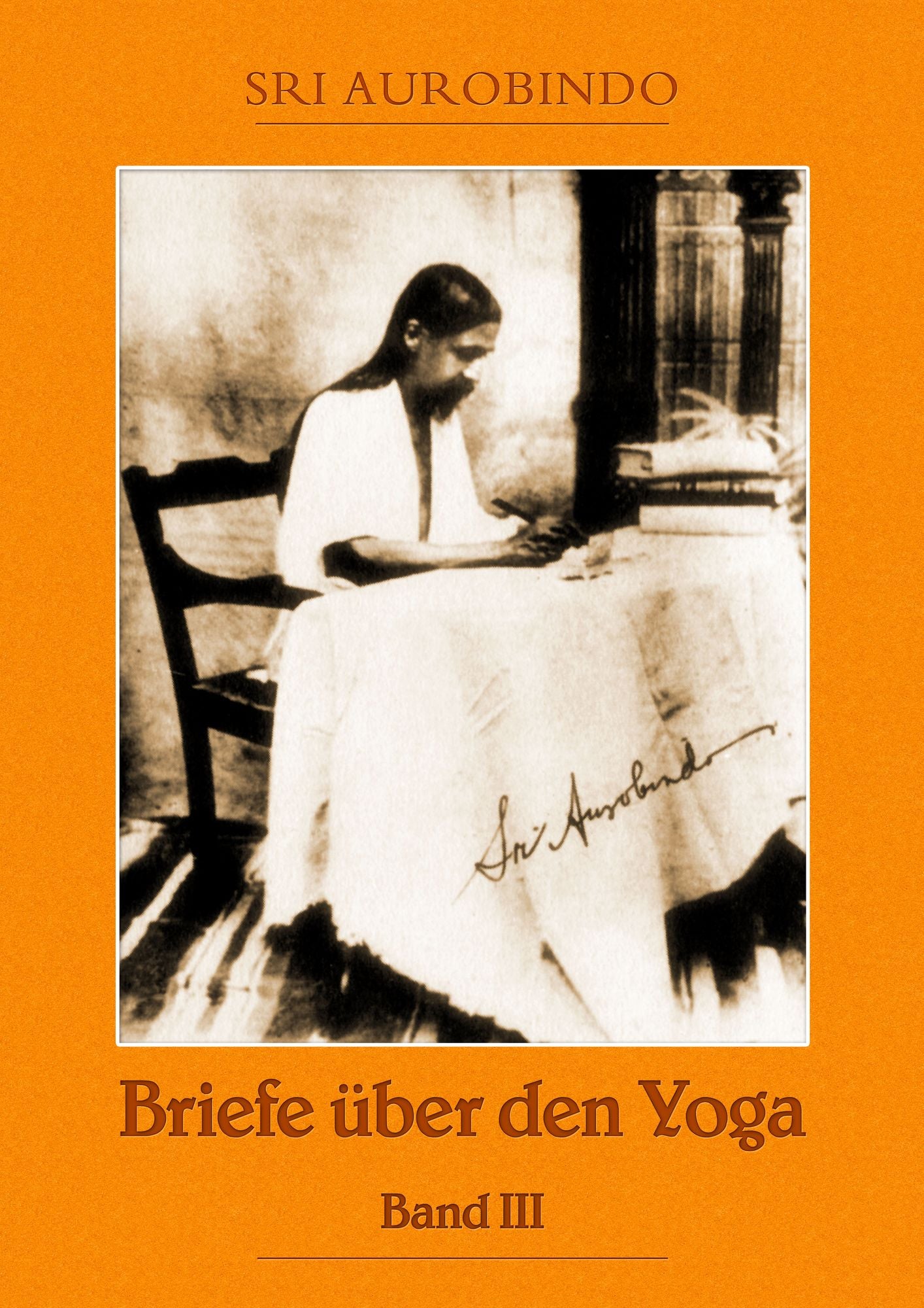 Briefe über den Yoga Bd. 3: Erfahrung und Verwirklichung