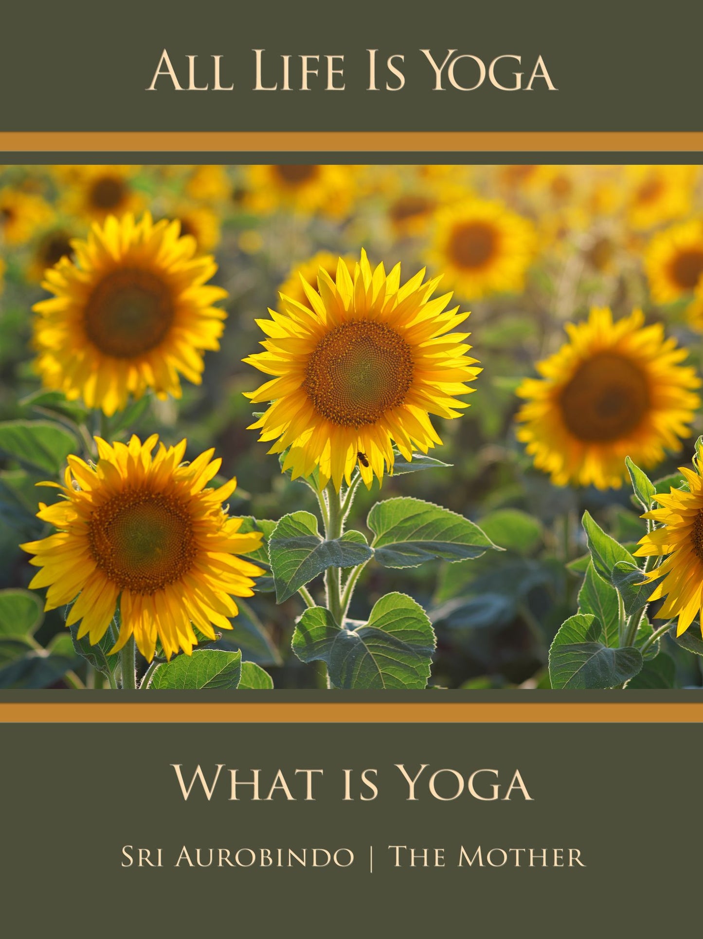 All Life Is Yoga: What is Yoga