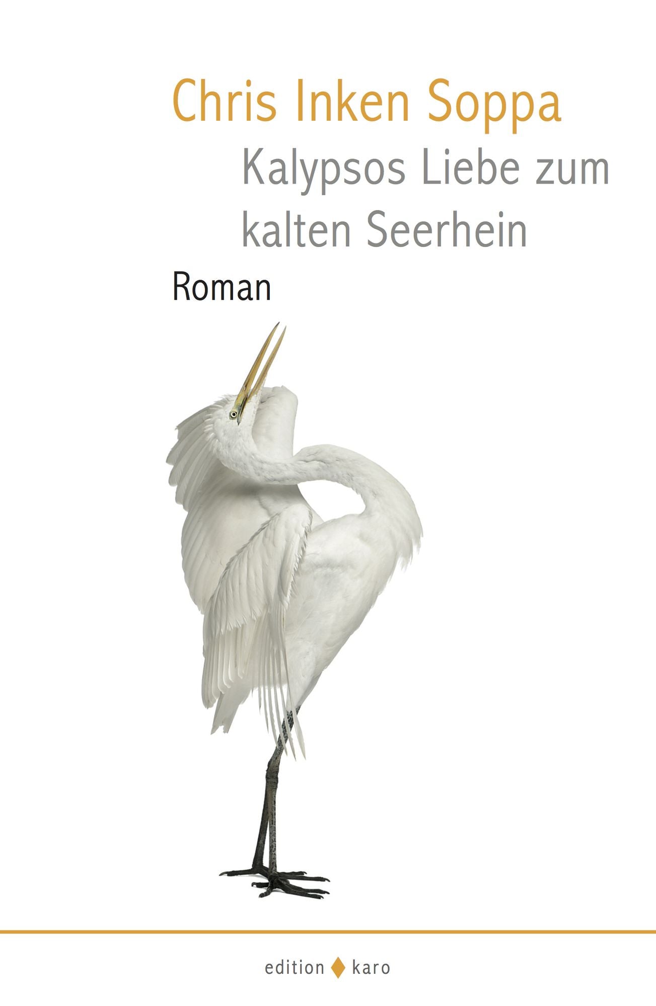 Kalypsos Liebe zum kalten Seerhein: Roman