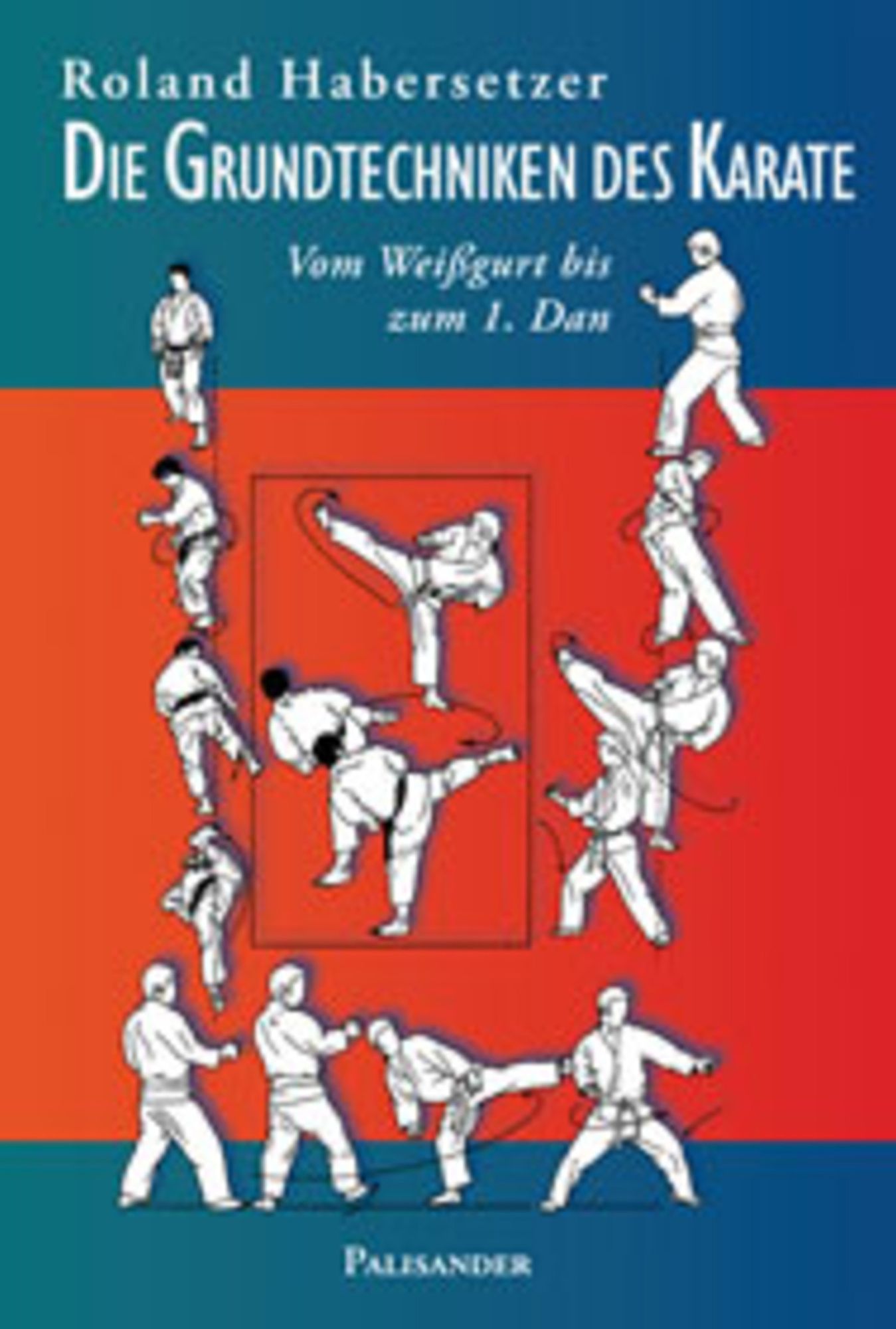 Die Grundtechniken des Karate: Vom Weißgurt bis zum 1. Dan