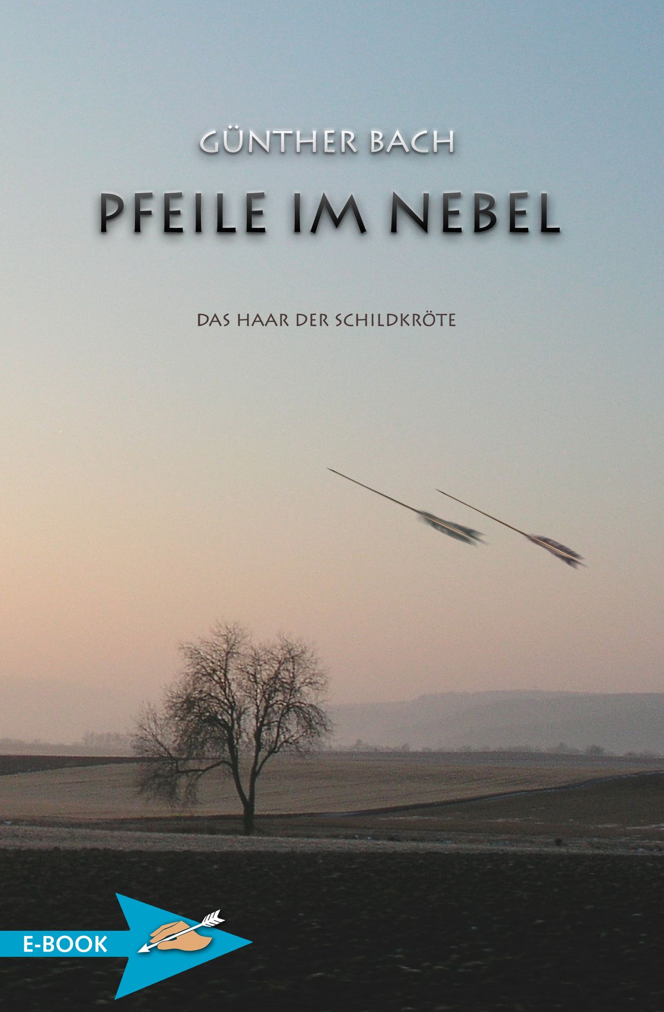Pfeile Im Nebel: Das Haar Der Schildkröte