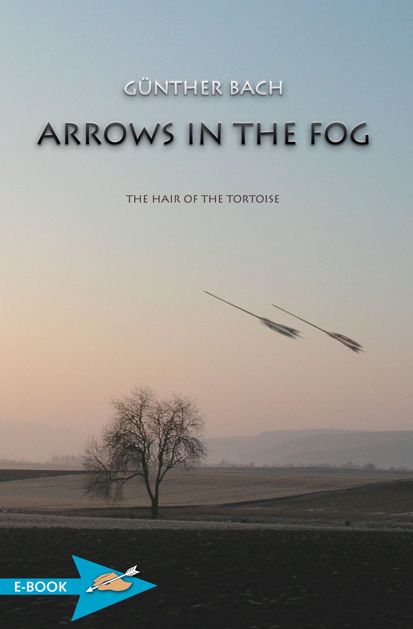 Arrows In The Fog: The Hair Of The Tortoise