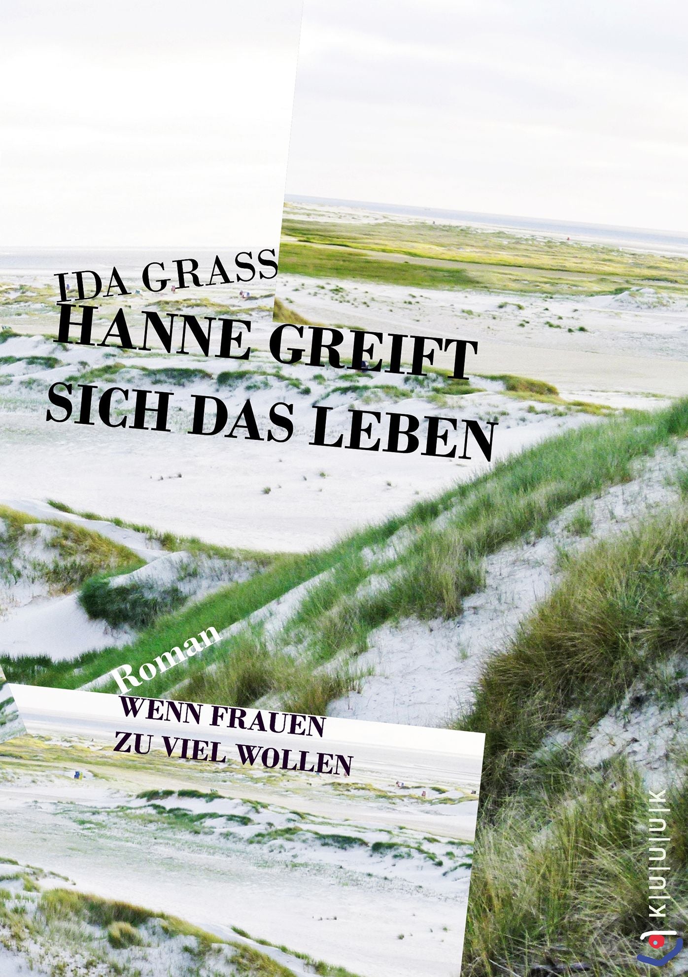 Hanne greift sich das Leben: Roman. Wenn Frauen zu viel wollen