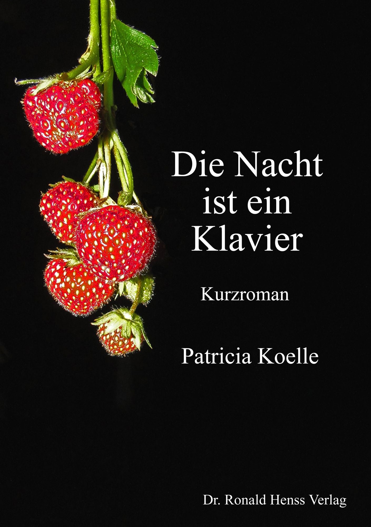 Die Nacht ist ein Klavier: Kurzroman