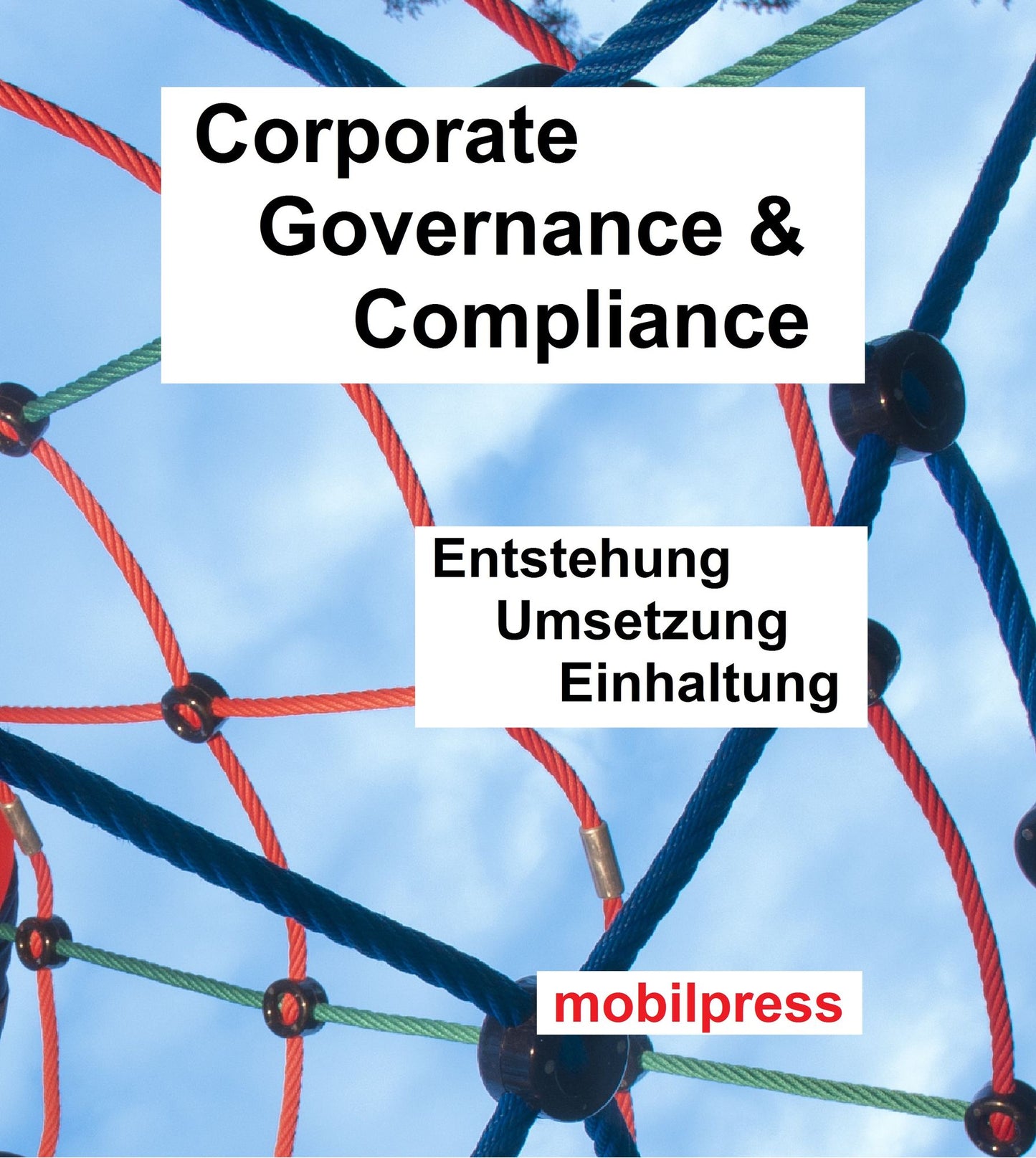 Corporate Governance & Compliance: Entstehung - Umsetzung - Einhaltung