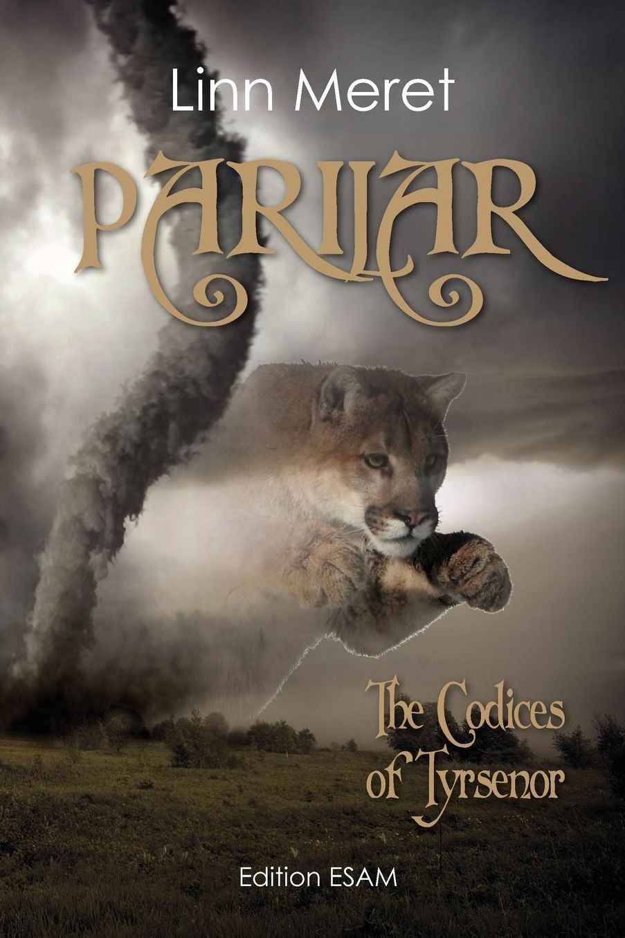 The Codices of Tyrsenor: Parilar