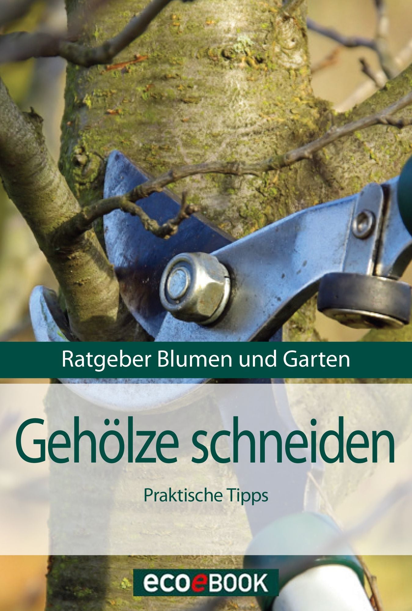Gehölze schneiden: Ratgeber Blumen und Garten