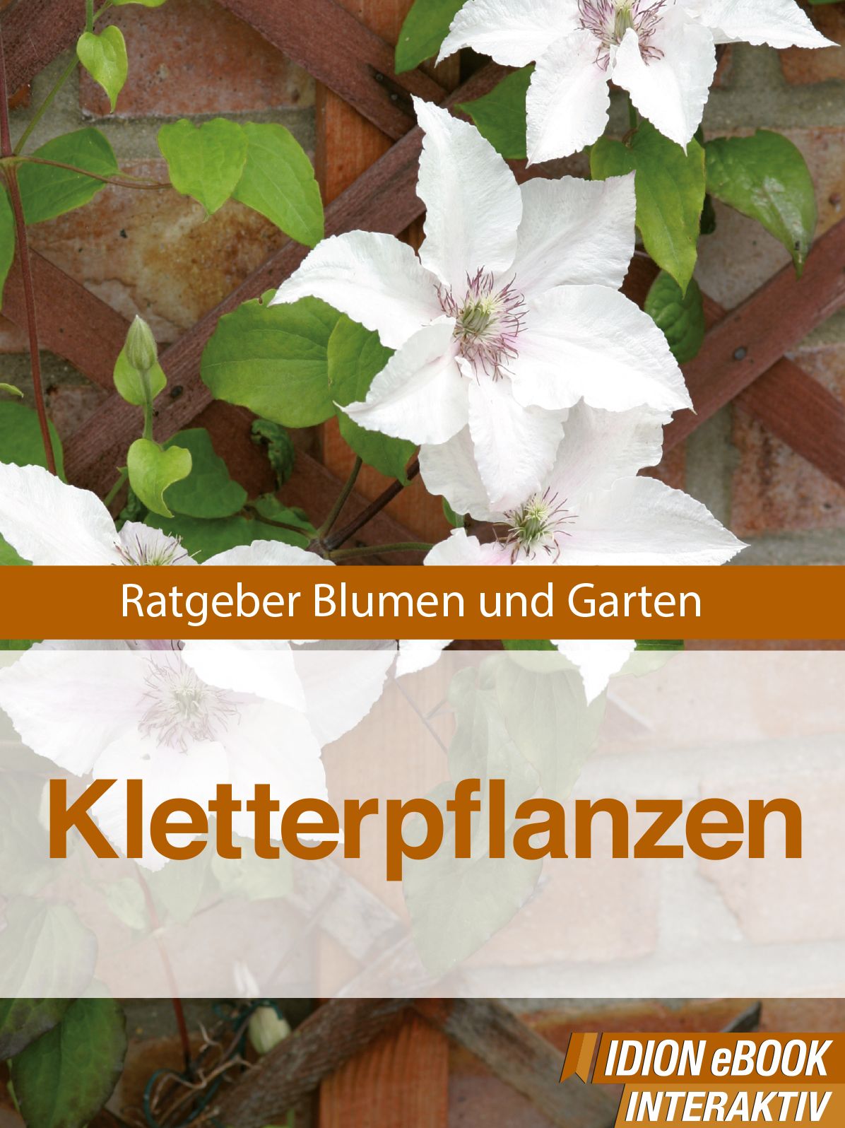Kletterpflanzen: Ratgeber Blumen und Garten