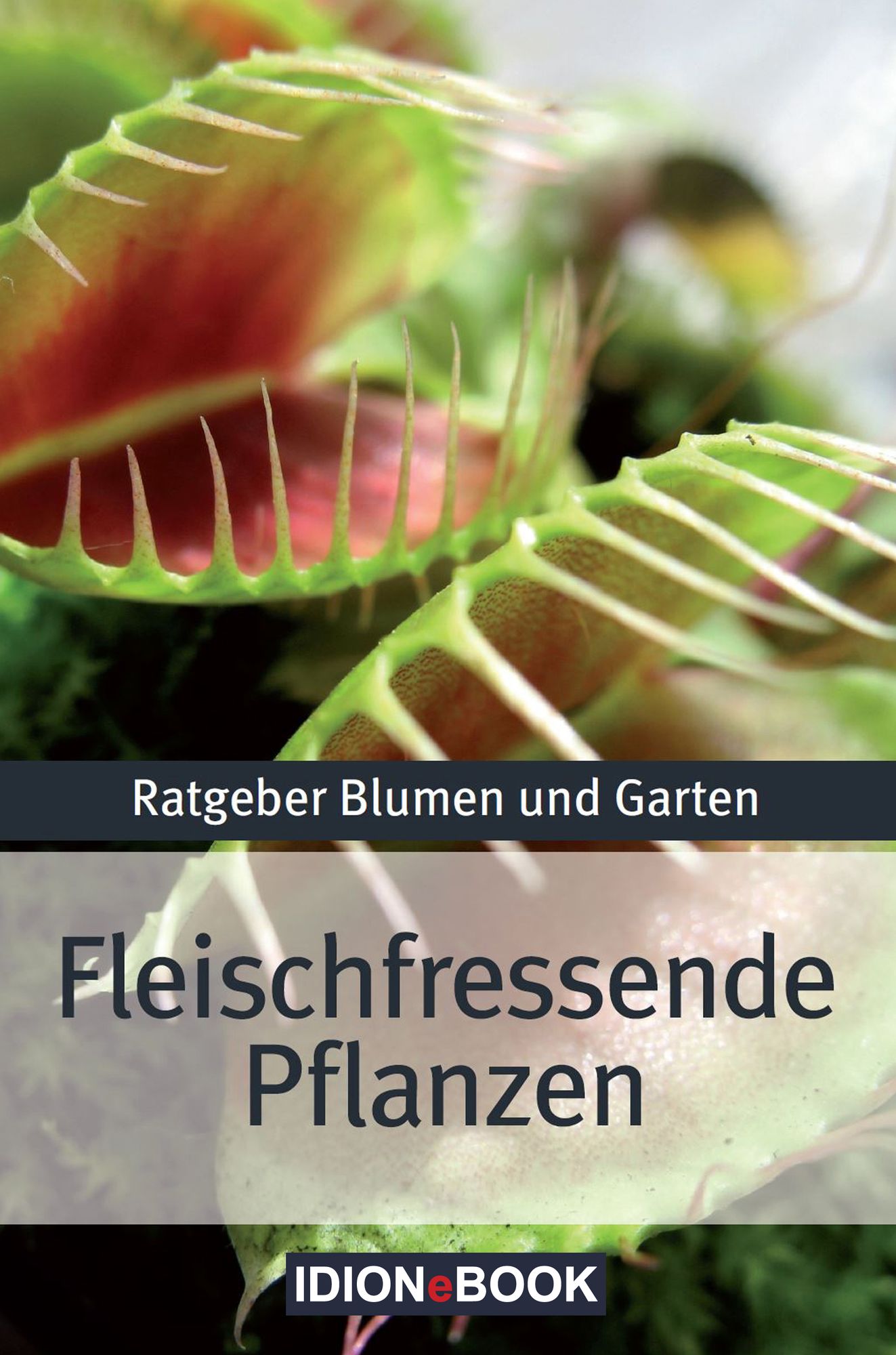 Fleischfressende Pflanzen: Ratgeber Blumen und Garten