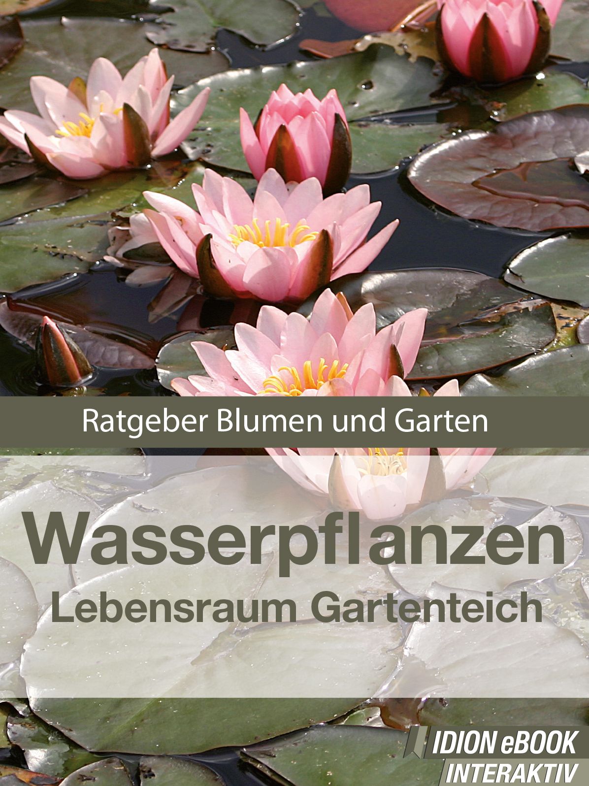 Wasserpflanzen - Lebensraum Gartenteich: Ratgeber Blumen und Garten
