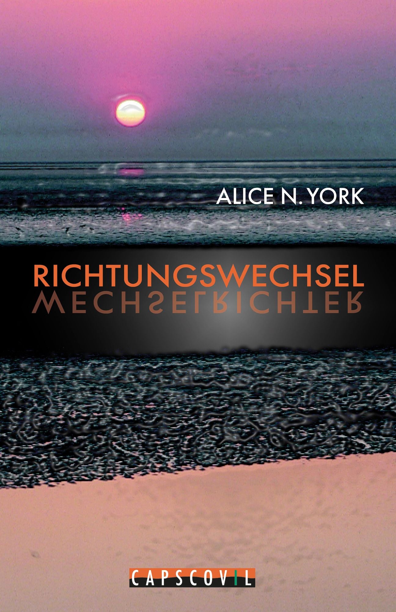 Richtungswechsel: Delikater Karriere-Roman mit originellen Solar-Ideen