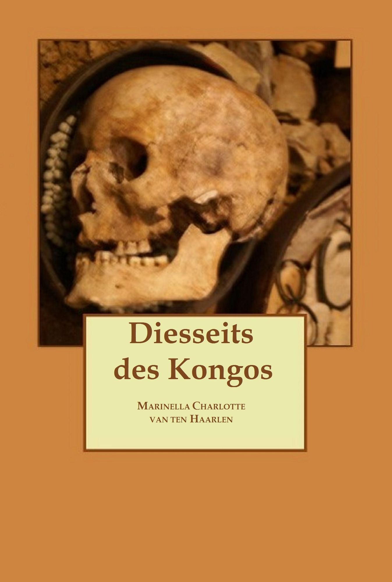 Diesseits des Kongos: 1 Teil Fanny Lemont