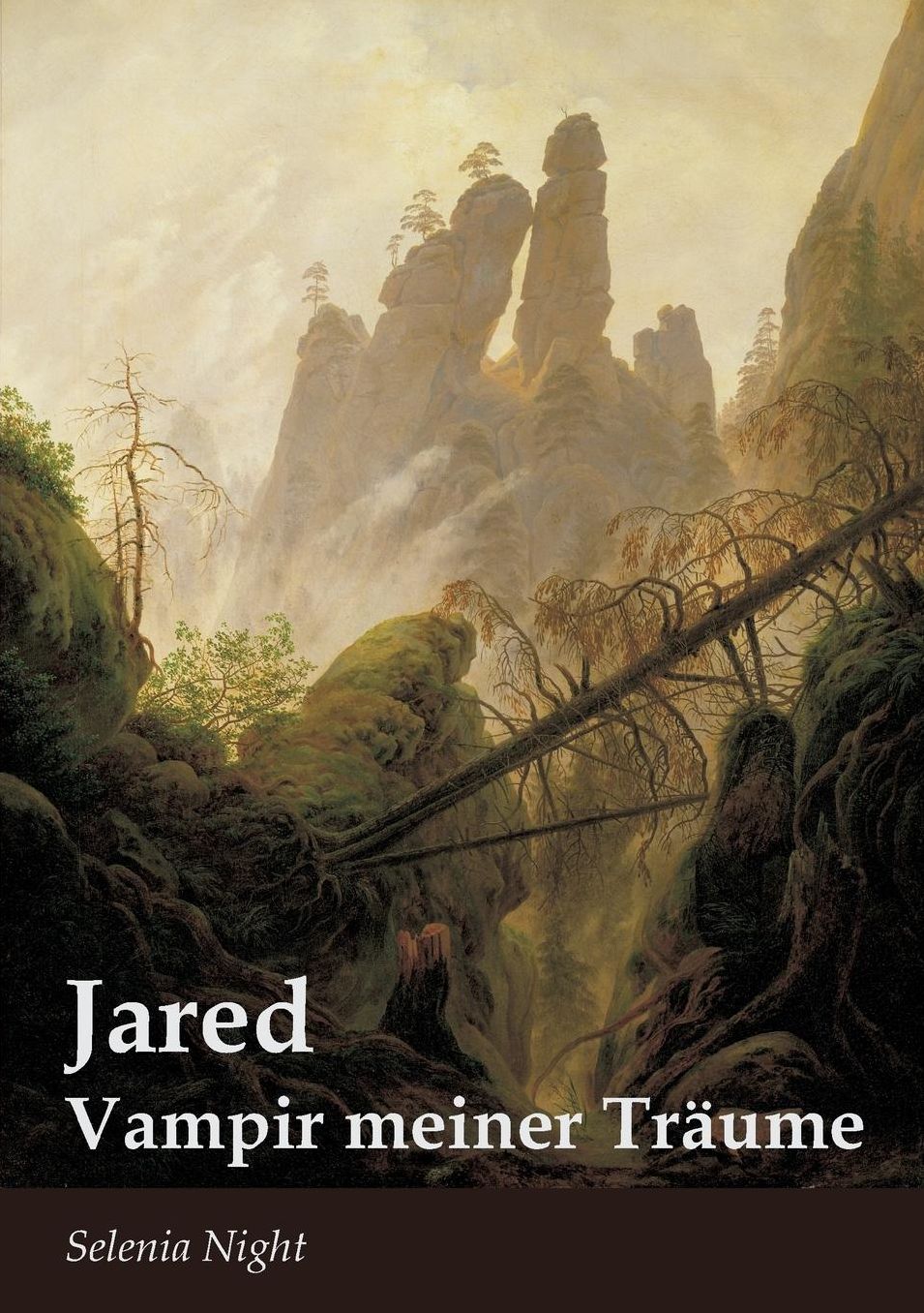 Jared - Vampir meiner Tr ume
